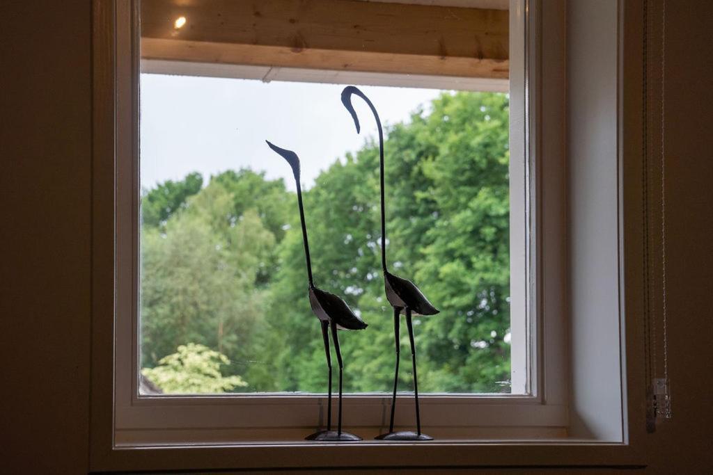 Apartment Landgoed Dwingeloo Wittelte