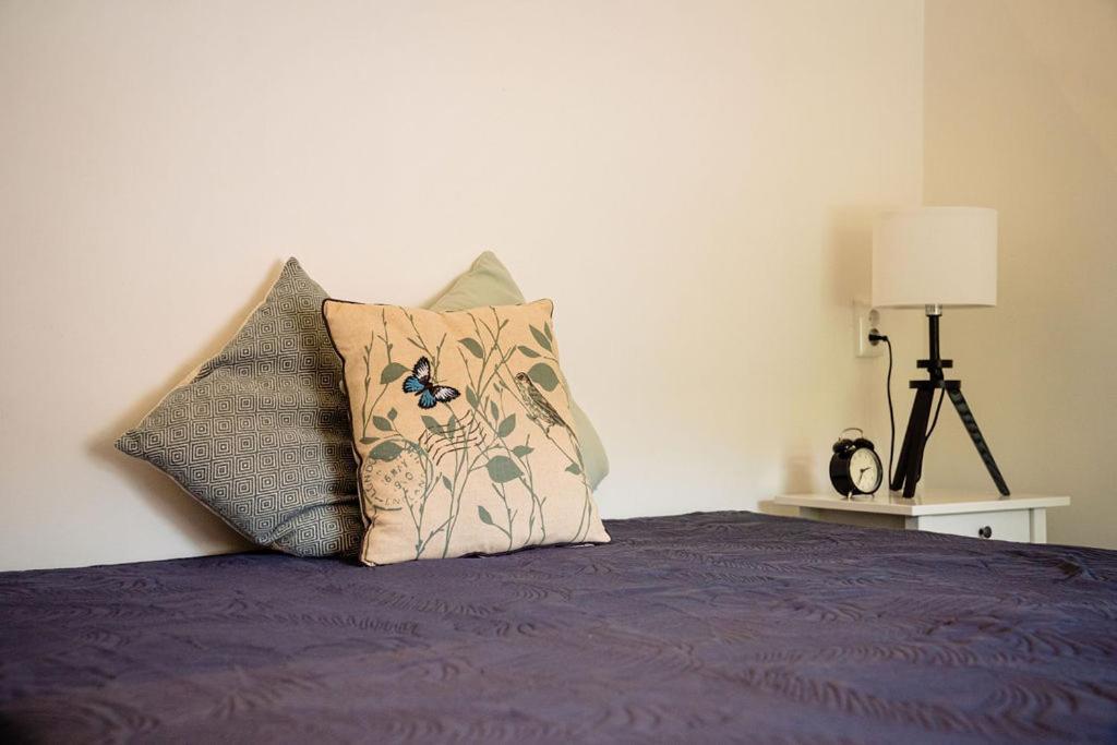 Apartment Landgoed Dwingeloo Wittelte